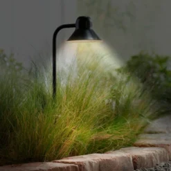 John Timberland -John Timberland GUEST 345b35a7 cc6b 43c7 b6ac 1e2f67ca05ce