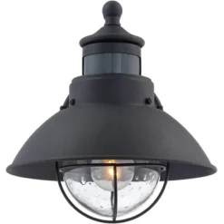 John Timberland Oberlin Rustic Farmhouse Outdoor Barn Light Fixture Black Dusk To Dawn Motion Sensor 9" Clear Seedy Glass For Exterior Deck House Yard -John Timberland GUEST 8285186c 981c 4fc6 a030 70ff96dcfcc6