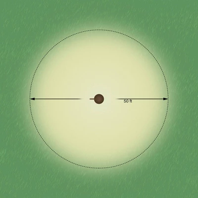 John Timberland Tall 68" High Garden Light For Low Voltage Landscape Light Systems 6 John Timberland Tall 68" High Garden Light For Low Voltage Landscape Light Systems - Image 6